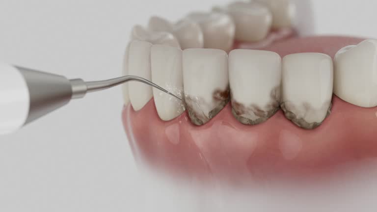 Reliable Dental contractor in Harkers Island, NC by Dentist Open Now